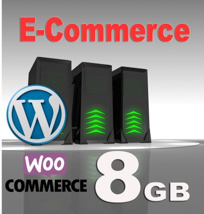 E-commerce hosting 8GB